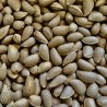 Compra Malla de Almendra Artajo con Cáscara - 2 kg