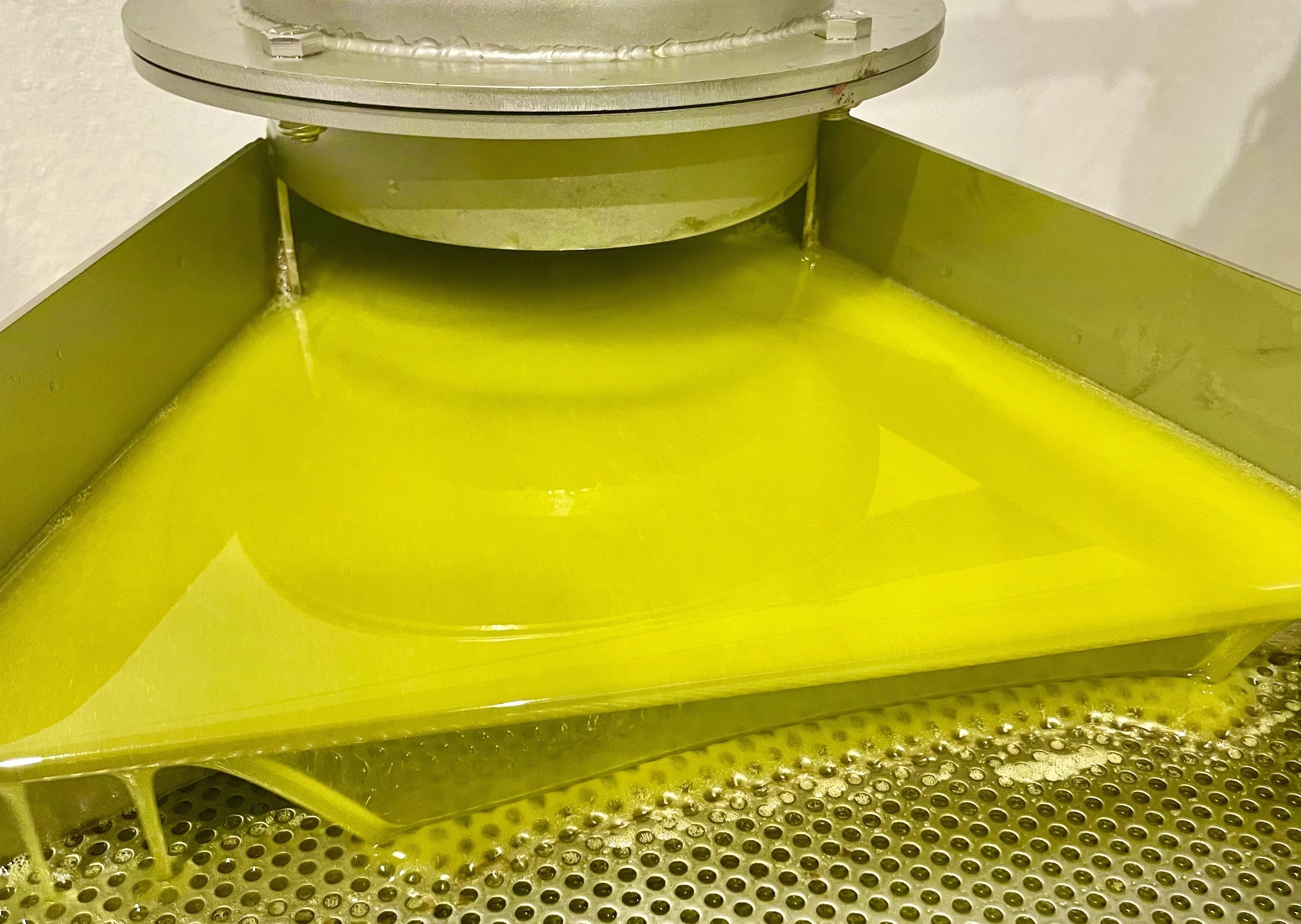 Foto aceite verde
