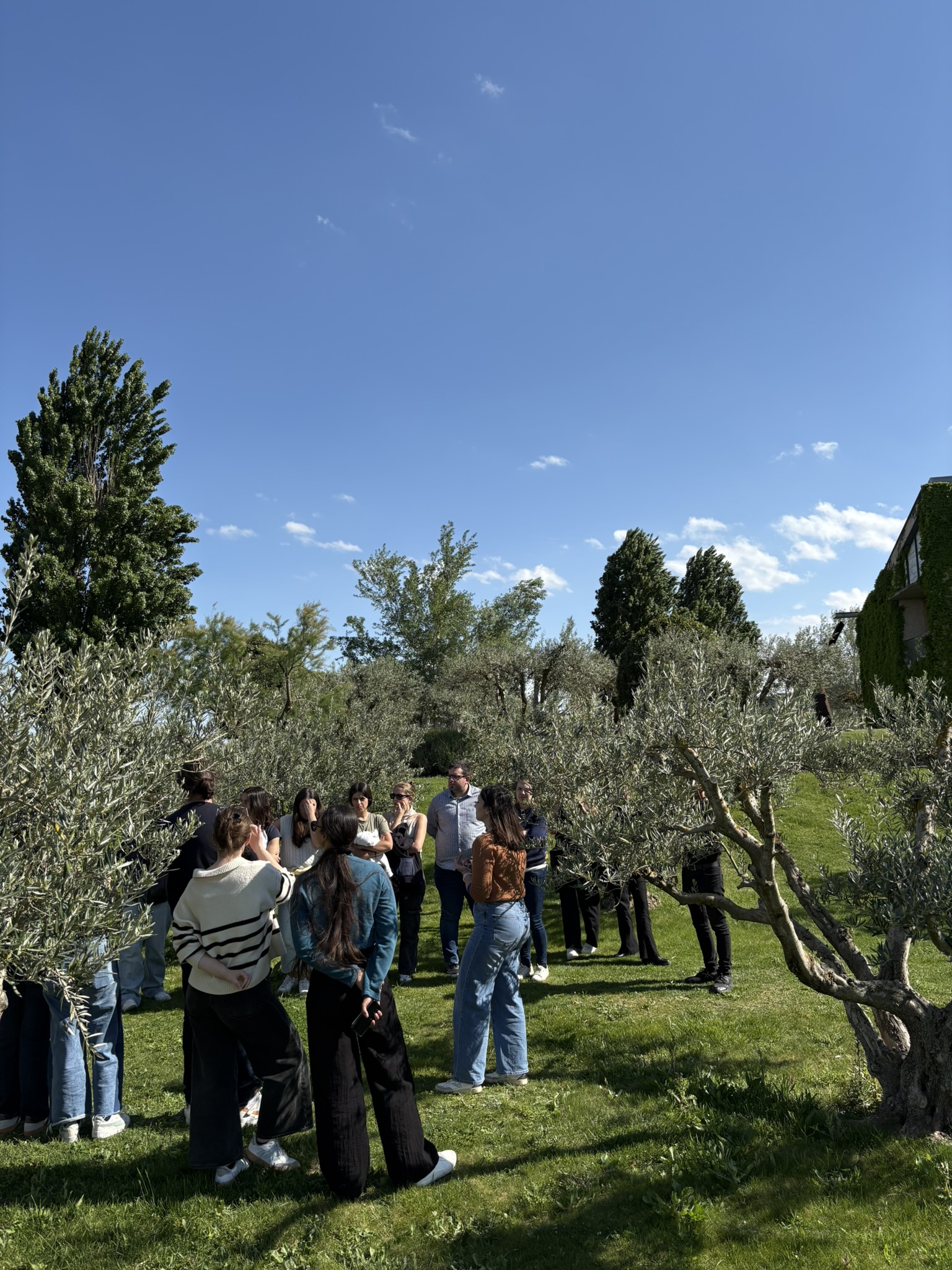 Visita guiada + Cata